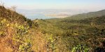 Gemlik vu depuis les oliveraies. Crédit Photo : Ygitmutlu {JPEG}